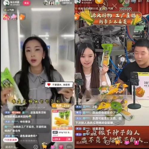 东北农嫂的爆料视频全集,揭秘农村真实生活与产业现状